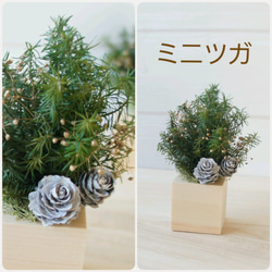 国産ひのき☆クリスマス　選べるヒムロスギキューブ　プリザーブドフラワー　プレゼント　クリスマス　ツリー　結婚祝い　誕生日 2枚目の画像