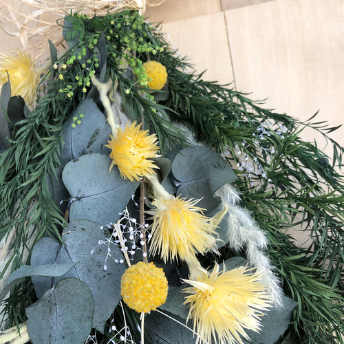 ユーカリ ティーツリースワッグ ドライフラワー プリザーブドフラワー