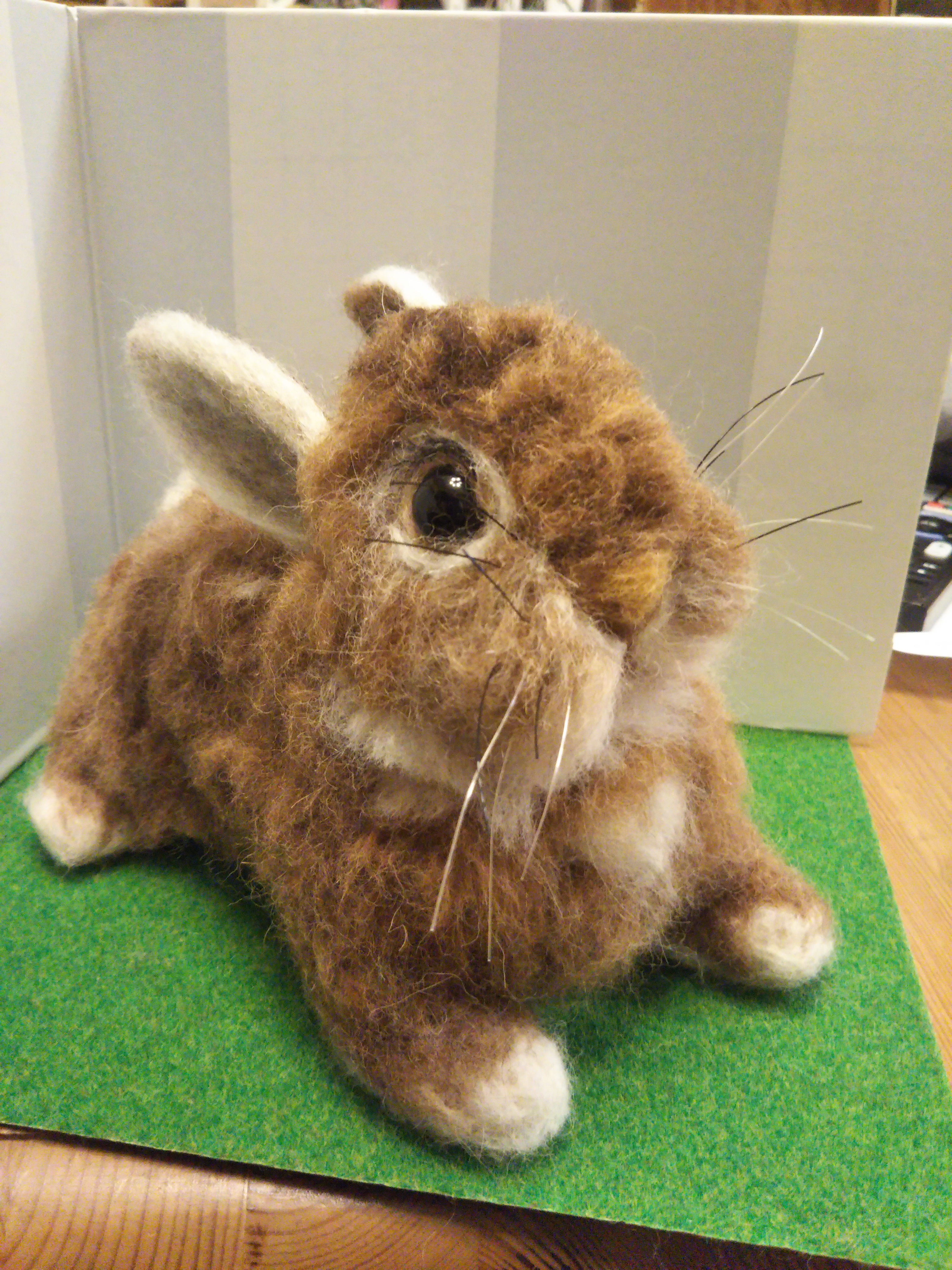 ネザーランドドワーフ茶系 羊毛フェルト pipi 通販 8199965｜Creema