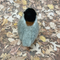 羊毛フェルト 野鳥のヤマガラちゃん k00629 5枚目の画像