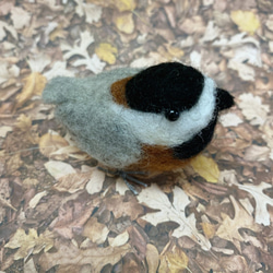 羊毛フェルト 野鳥のヤマガラちゃん k00629 6枚目の画像