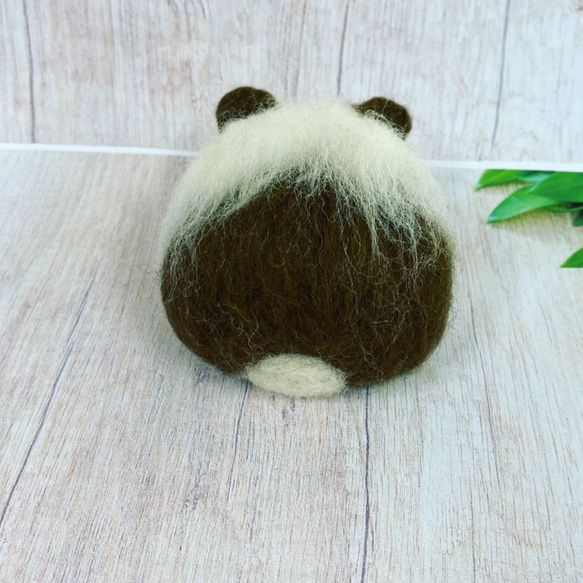 【完売】羊毛フェルト マウスなモルモット k00656 5枚目の画像