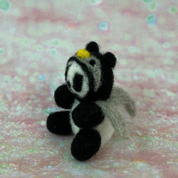 ペンギンフードを被ったパンダさん k00673 4枚目の画像