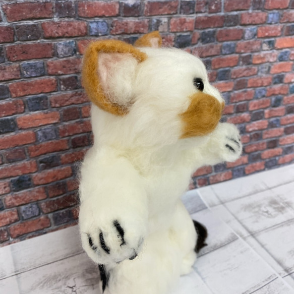 羊毛フェルト 三毛猫ちゃん リアルアニマルシリーズ k00680 3枚目の画像