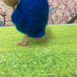 羊毛フェルト　お団子を手にしてやってくる青い鳥　マスコット　k00687 6枚目の画像