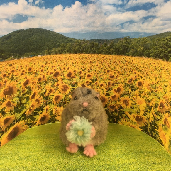 羊毛フェルト　お花が大好きなハムスターのお花屋さん　k00456 8枚目の画像