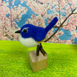 　羊毛フェルトマスコット　幸せの青い鳥ルリビタキ k00463 4枚目の画像