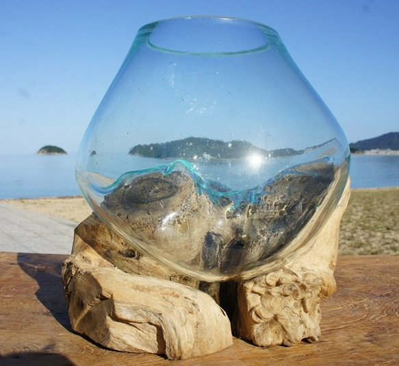 吹きガラスと天然木のオブジェS 金魚鉢 メダカ 水槽 アクアリウム テラリウム コケリウム 花瓶 流木ガラス ブルー硝子 2枚目の画像