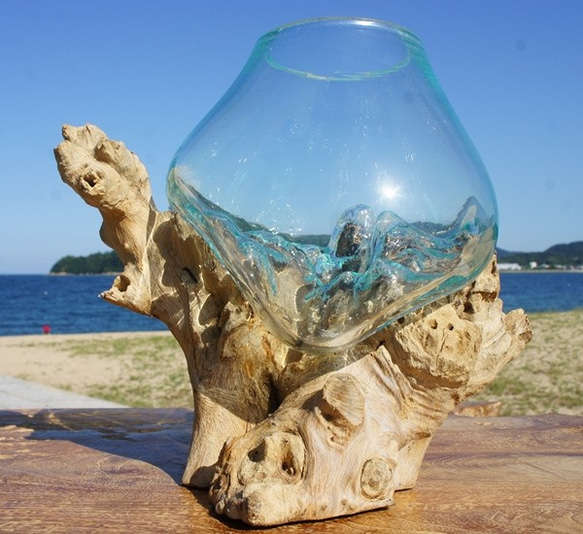 吹きガラスと天然木のオブジェS 金魚鉢 メダカ 水槽 アクアリウム テラリウム コケリウム 花瓶 流木ガラス ブルー硝子 8枚目の画像
