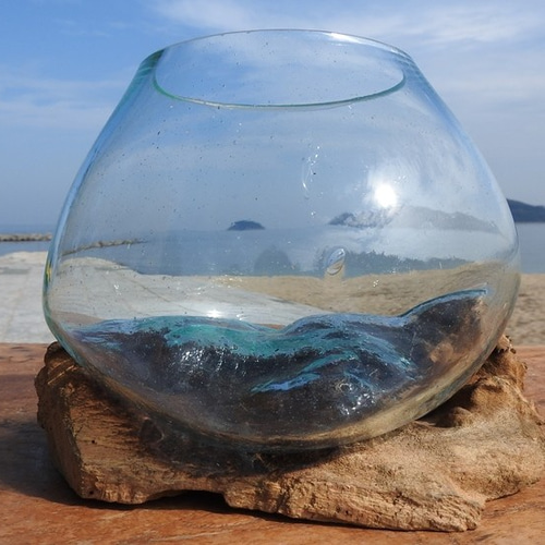 吹きガラスと天然木のオブジェS 金魚鉢 メダカ 水槽