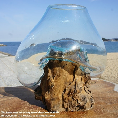流木ガラスオブジェ大B 花瓶 金魚鉢 ガーデニング テラリウム