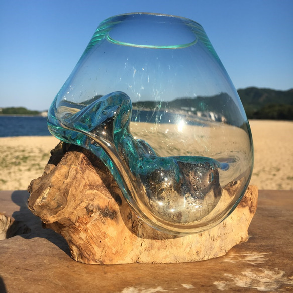 1点物 吹きガラスと天然木のオブジェMNr1 金魚鉢 メダカ 水槽 アクアリウム テラリウム コケリウム 花瓶 1枚目の画像