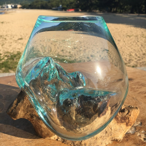 1点物 吹きガラスと天然木のオブジェMNr1 金魚鉢 メダカ 水槽 アクアリウム テラリウム コケリウム 花瓶 3枚目の画像