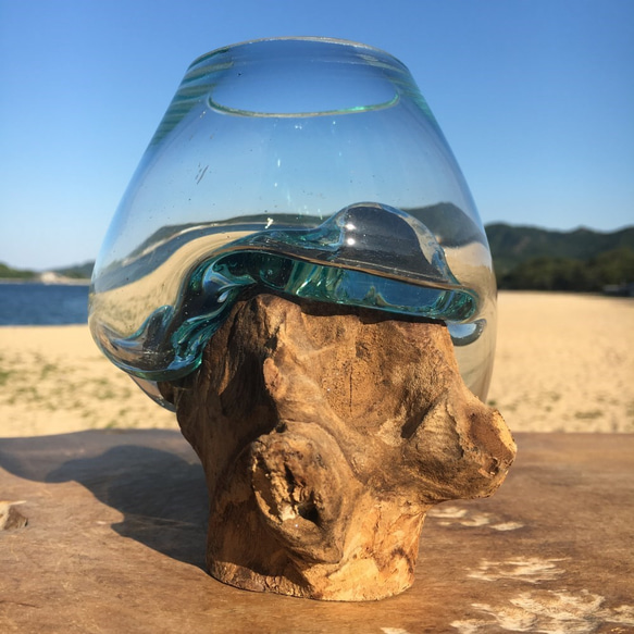 1点物 吹きガラスと天然木のオブジェMNr1 金魚鉢 メダカ 水槽 アクアリウム テラリウム コケリウム 花瓶 9枚目の画像