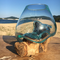 1点物 吹きガラスと天然木のオブジェMNr1 金魚鉢 メダカ 水槽 アクアリウム テラリウム コケリウム 花瓶 10枚目の画像