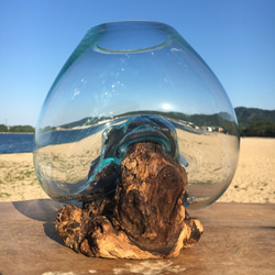 1点物 吹きガラスと天然木のオブジェ 金魚鉢 メダカ 水槽 アクアリウム テラリウム コケリウム 花瓶 1枚目の画像