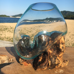 1点物 吹きガラスと天然木のオブジェ 金魚鉢 メダカ 水槽 アクアリウム テラリウム コケリウム 花瓶 2枚目の画像