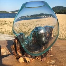 1点物 吹きガラスと天然木のオブジェ 金魚鉢 メダカ 水槽 アクアリウム テラリウム コケリウム 花瓶 3枚目の画像