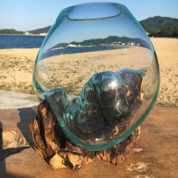 1点物 吹きガラスと天然木のオブジェ 金魚鉢 メダカ 水槽 アクアリウム テラリウム コケリウム 花瓶 3枚目の画像