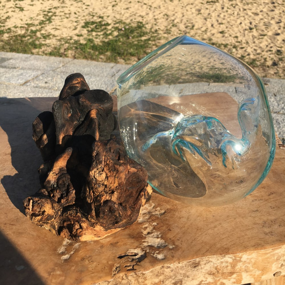 1点物 吹きガラスと天然木のオブジェ 金魚鉢 メダカ 水槽 アクアリウム テラリウム コケリウム 花瓶 5枚目の画像