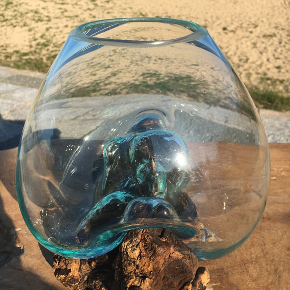 1点物 吹きガラスと天然木のオブジェ 金魚鉢 メダカ 水槽 アクアリウム テラリウム コケリウム 花瓶 6枚目の画像