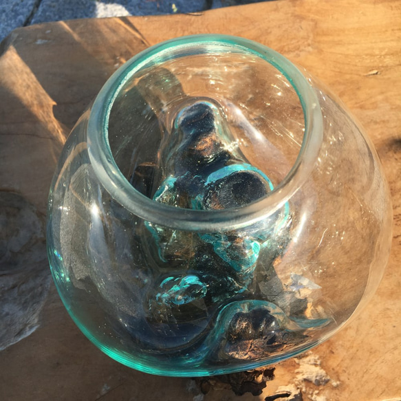 1点物 吹きガラスと天然木のオブジェ 金魚鉢 メダカ 水槽 アクアリウム テラリウム コケリウム 花瓶 7枚目の画像