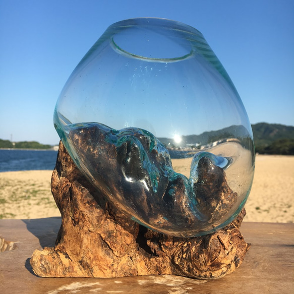 1点物 吹きガラスと天然木のオブジェ 金魚鉢 メダカ 水槽 アクアリウム テラリウム コケリウム 花瓶 8枚目の画像