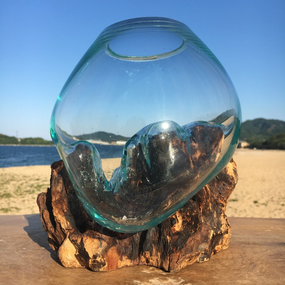 1点物 吹きガラスと天然木のオブジェ 金魚鉢 メダカ 水槽 アクアリウム テラリウム コケリウム 花瓶 10枚目の画像