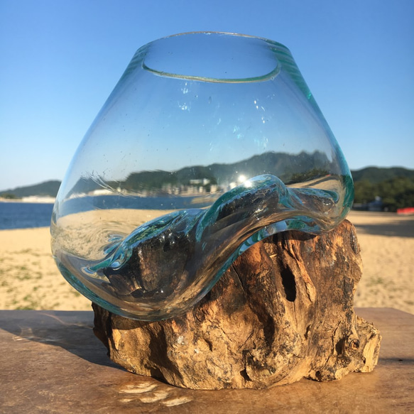 1点物 吹きガラスと天然木のオブジェXSr1 金魚鉢 メダカ 水槽 アクアリウム テラリウム コケリウム 花瓶 1枚目の画像