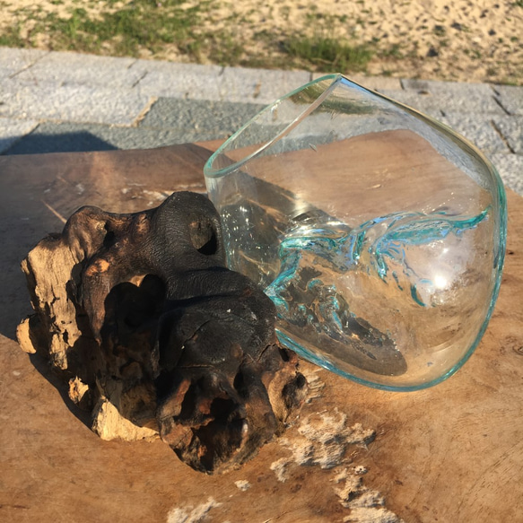 1点物 吹きガラスと天然木のオブジェXSr1 金魚鉢 メダカ 水槽 アクアリウム テラリウム コケリウム 花瓶 5枚目の画像