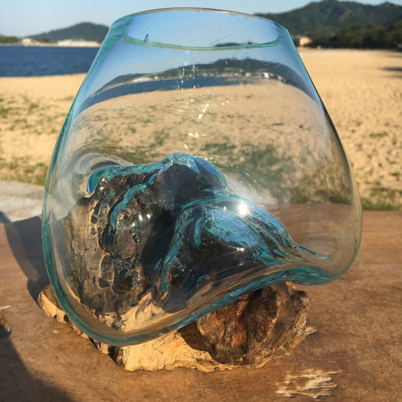 1点物 吹きガラスと天然木のオブジェXSr1 金魚鉢 メダカ 水槽 アクアリウム テラリウム コケリウム 花瓶 7枚目の画像