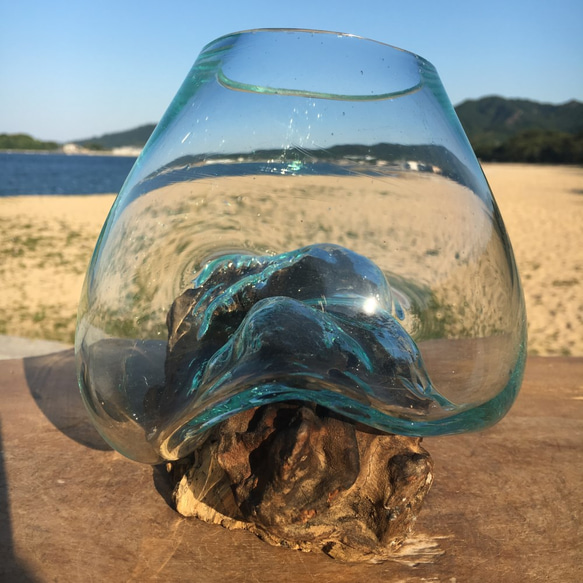1点物 吹きガラスと天然木のオブジェXSr1 金魚鉢 メダカ 水槽 アクアリウム テラリウム コケリウム 花瓶 8枚目の画像
