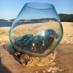 1点物 吹きガラスと天然木のオブジェXSr1 金魚鉢 メダカ 水槽 アクアリウム テラリウム コケリウム 花瓶 9枚目の画像