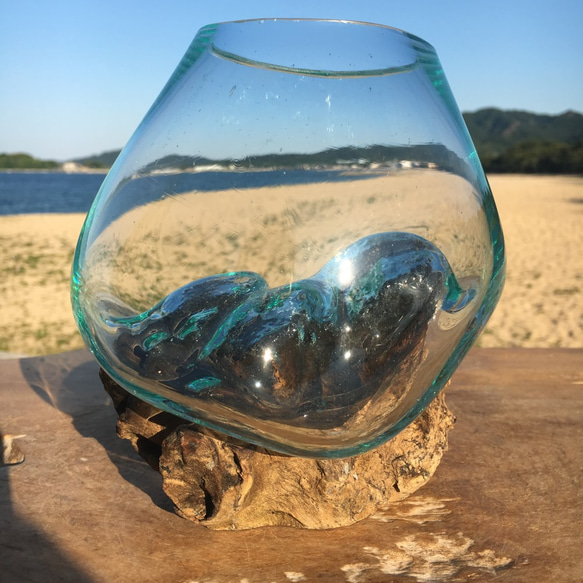 1点物 吹きガラスと天然木のオブジェXSr1 金魚鉢 メダカ 水槽 アクアリウム テラリウム コケリウム 花瓶 9枚目の画像