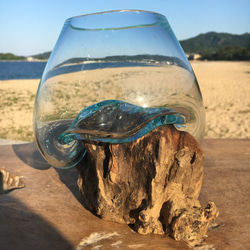1点物 吹きガラスと天然木のオブジェXSr1 金魚鉢 メダカ 水槽 アクアリウム テラリウム コケリウム 花瓶 10枚目の画像