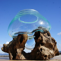 吹きガラスと天然木のオブジェMN 金魚鉢 メダカ 水槽 アクアリウム テラリウム コケリウム 花瓶 流木ガラス ブルー 6枚目の画像