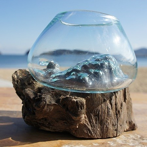 超大型　☆アクアリウム　生花　テラリウム 爬虫類　天然流木 ホーンウッド⭐︎ Amazon.co.jp 売れ筋ランキング: 水槽内装用木 の中で最も人気の