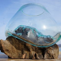 ③大甕　甕　カメ、水甕　水瓶　インテリア　オブジェ　ガーデニング　金魚　メダカ ①大甕 甕 カメ、水甕 水瓶 インテリア オブジェ ガーデニング