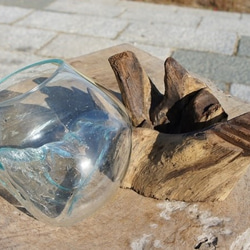 1点物 吹きガラスと天然木のオブジェXSr4 金魚鉢 メダカ 水槽 アクアリウム テラリウム コケリウム 花瓶 5枚目の画像