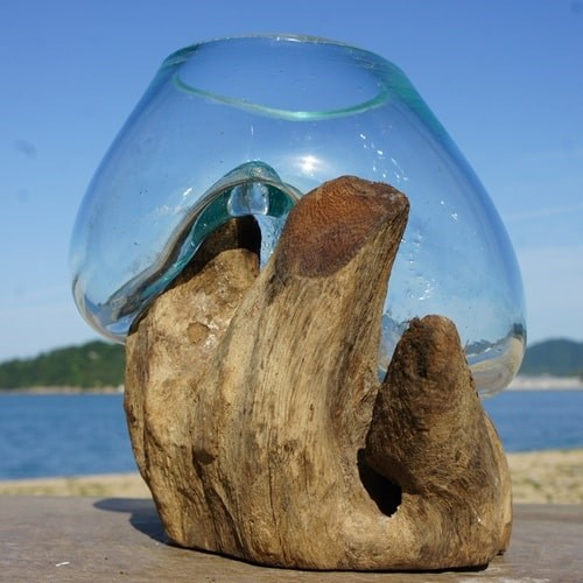 1点物 吹きガラスと天然木のオブジェXSr4 金魚鉢 メダカ 水槽 アクアリウム テラリウム コケリウム 花瓶 7枚目の画像
