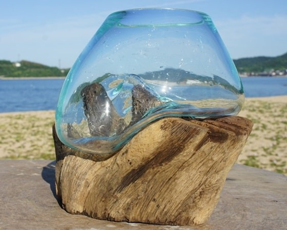 1点物 吹きガラスと天然木のオブジェXSr4 金魚鉢 メダカ 水槽 アクアリウム テラリウム コケリウム 花瓶 9枚目の画像