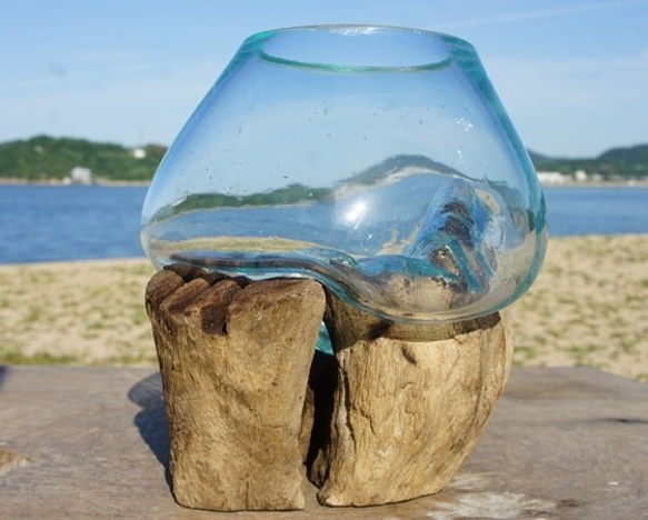 1点物 吹きガラスと天然木のオブジェXSr4 金魚鉢 メダカ 水槽 アクアリウム テラリウム コケリウム 花瓶 10枚目の画像