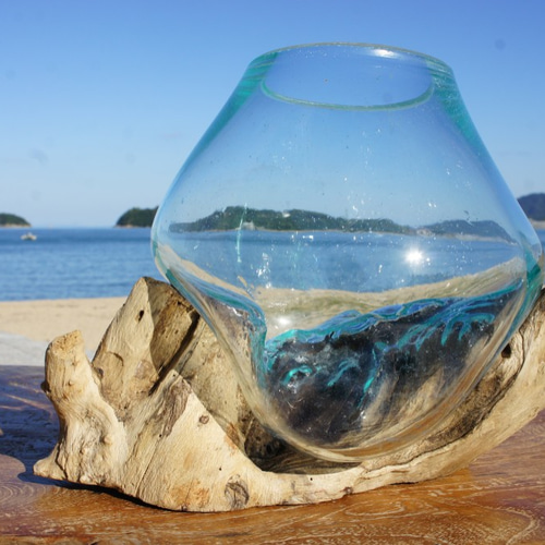 1点物 吹きガラスと天然木のオブジェXSPr1 金魚鉢 メダカ 水槽