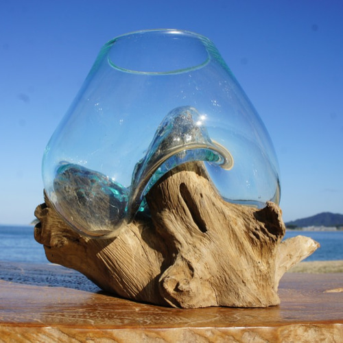 Bali 流木 ガラス オブジェ アクアリウム アート 花瓶 一輪挿し 花器