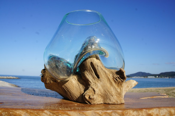 ①大甕 甕 カメ、水甕 水瓶 インテリア オブジェ ガーデニング 金魚