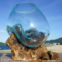 吹きガラスと天然木のオブジェXS 金魚鉢 メダカ 水槽 アクアリウム テラリウム コケリウム 花瓶 流木ガラス ブルー 1枚目の画像
