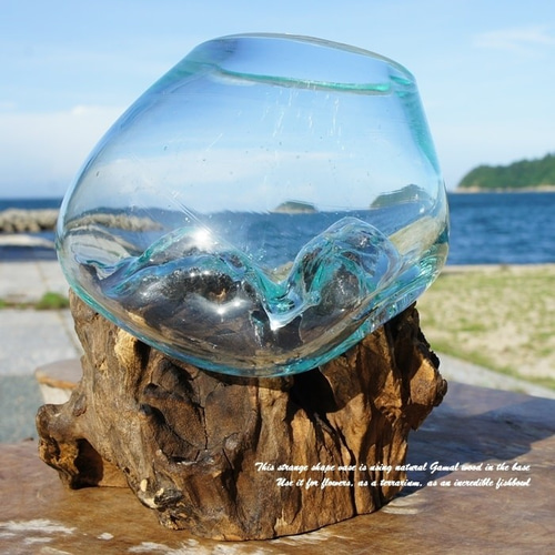 流木ガラス オブジェXSk バリ島 花瓶 金魚鉢 メダカ水槽 テラリウム アート Amazon.co.jp: 流木ガラス オブジェXSk バリ島 花瓶 金魚鉢