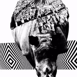 Paris x Rhino (フレーム付) アートポスター 3枚目の画像