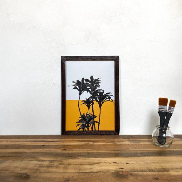 ドラセナ パープルコンパクタ「植物 カラー」  A4 ポスター & 古材 ポスターフレーム 壁掛け 6枚目の画像