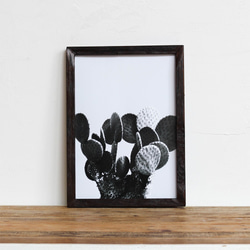 "うちわサボテン" 「モノクロアート 観葉植物」A4 モノトーン ポスター & 木製 アンティーク 額縁 4枚目の画像